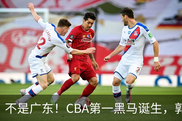不是广东！CBA第一黑马诞生，郭士强接班人崛起，辽篮惊喜