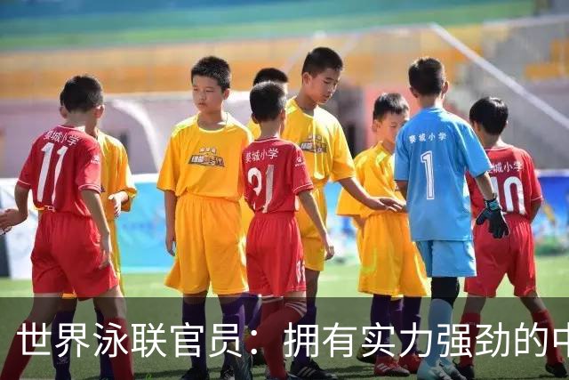 世界泳联官员：拥有实力强劲的中国队是件好事