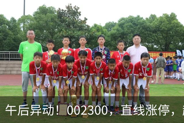 午后异动！002300，直线涨停，超70万手封单