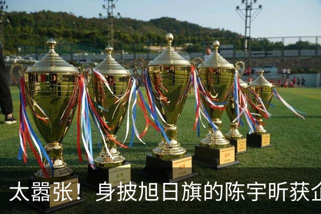 太嚣张！身披旭日旗的陈宇昕获企业公开支持：一起披！汤家凤痛斥