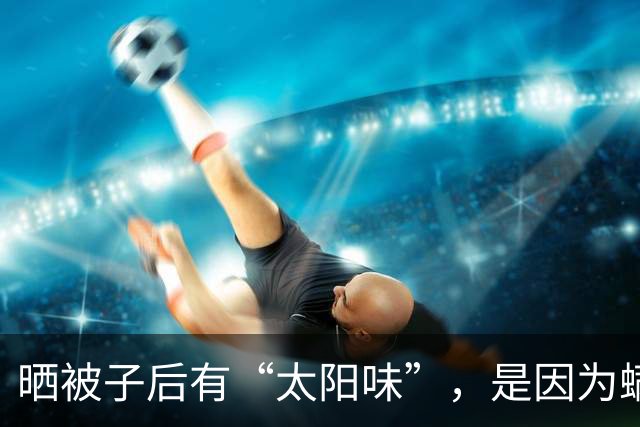 晒被子后有“太阳味”，是因为螨虫被烤焦了？科学家：太阳的功劳