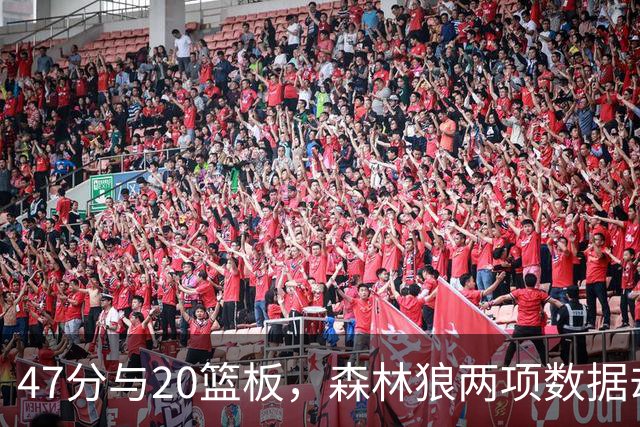 47分与20篮板，森林狼两项数据却换不来一场胜利